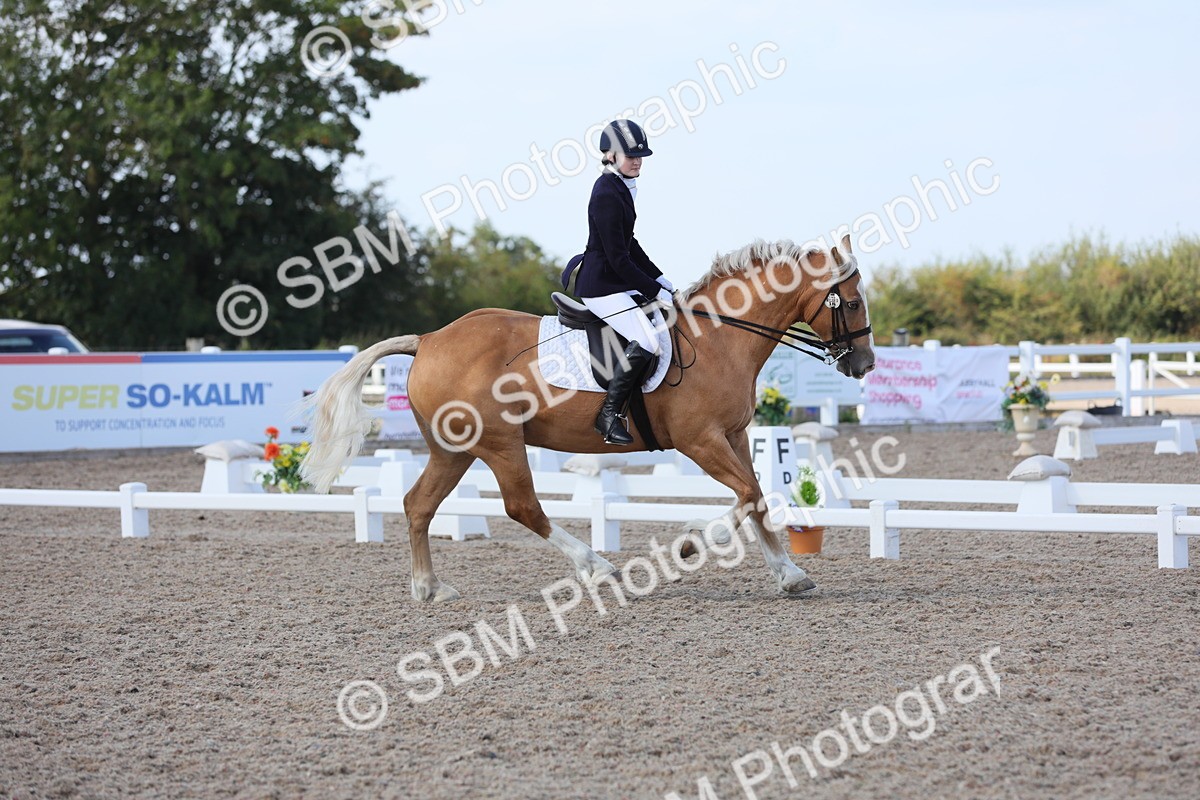 SBM_07703 - Class 33 Elementary 1