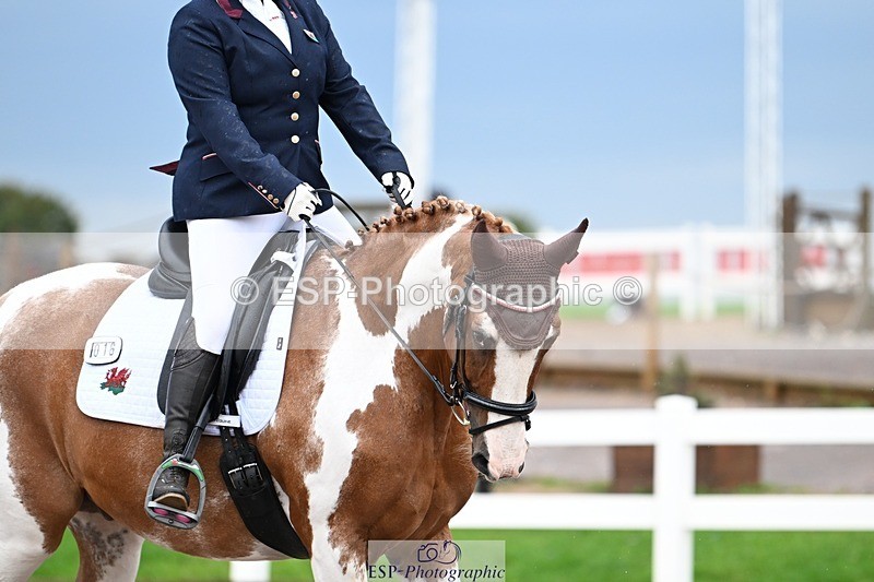 250907-103757-06927 - 016-Sarah.canningJohnny.Knoxville