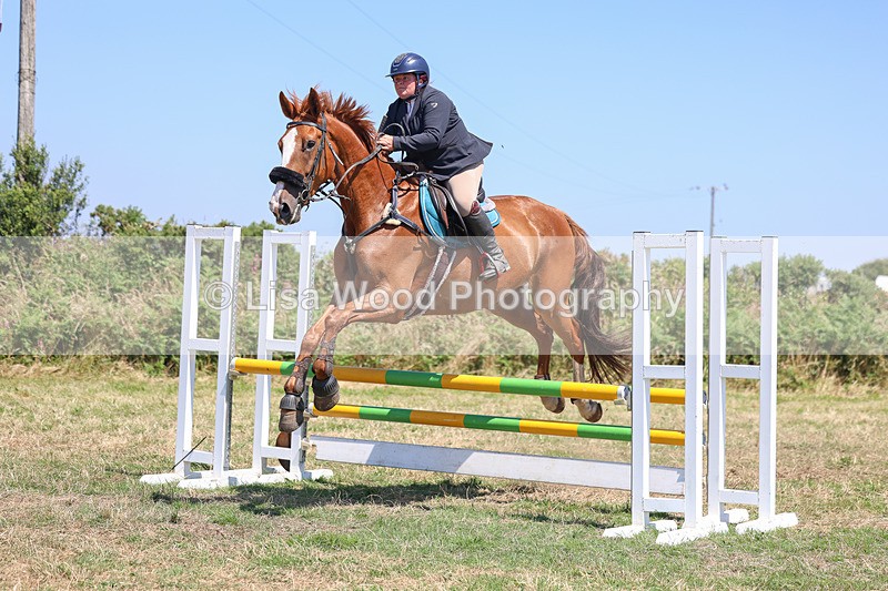 3E7A4417 - Class 10: Senior British Novice/90cm open