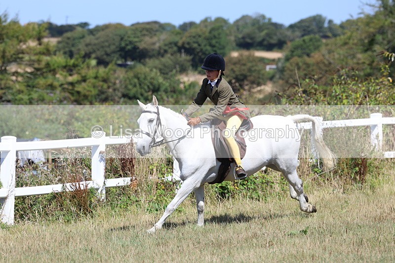 3E7A6394 - Working Hunter Championship
