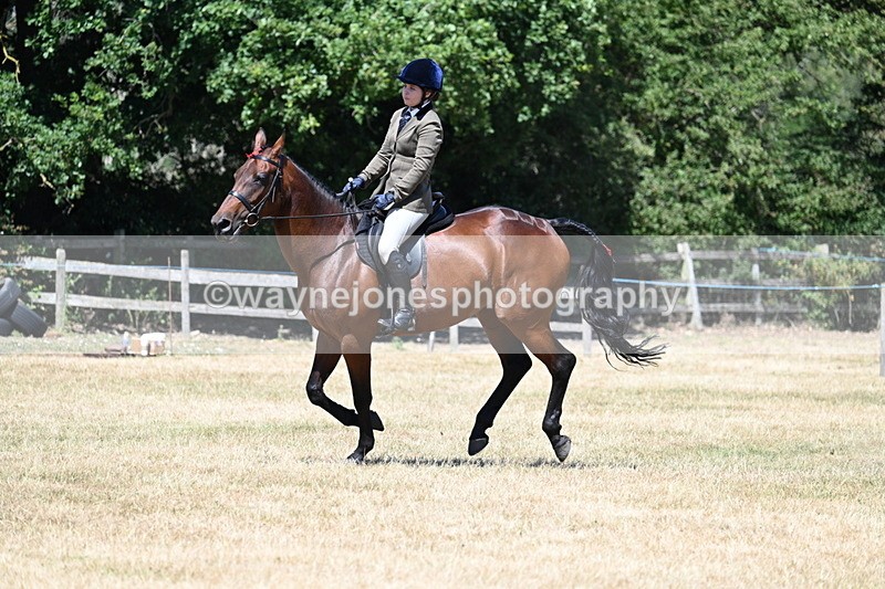 WJ7_3119 - Class 7 Riding Club Show Horse