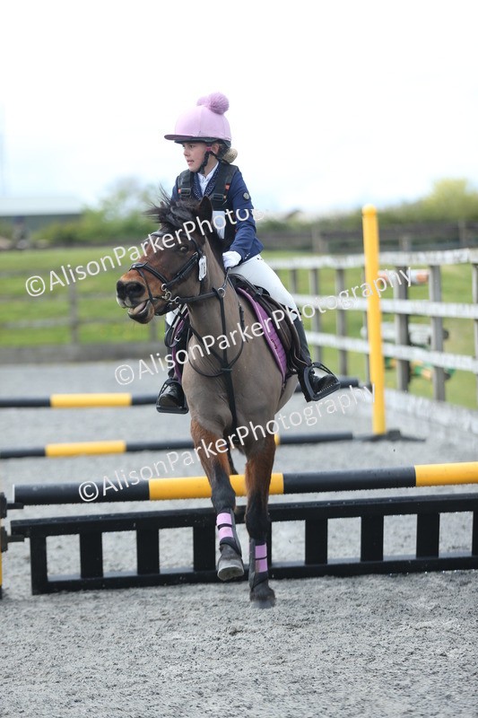 20260412-1755 - Show Jumping