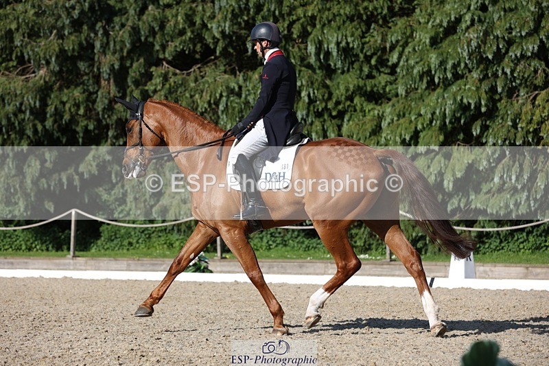 230526-174642-08030 - 181-AMIRO_ISLAND-Harry_Meade-WEDTrotUp+DR