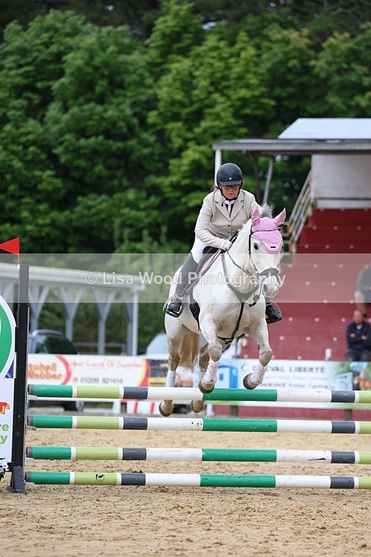 3E7A6275 - Class 4: Senior British Novice/90cm open