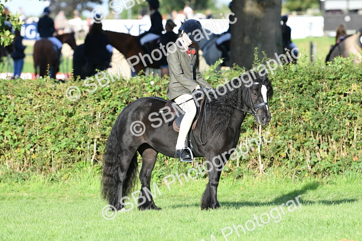 SBM_54087 - S23 - 1st Ridden Mountain & Moorland Pony
