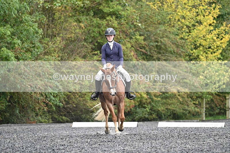 WJ7_3690 - Time 11:04 to 11:38