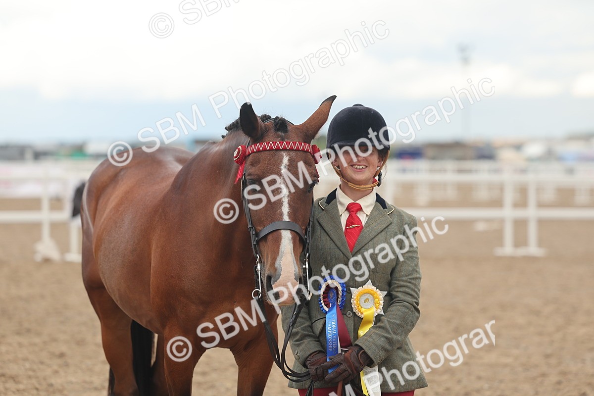 SBM_07943 - Class 28 - IH Veteran Horse