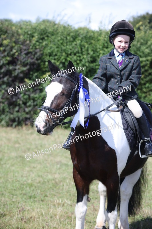 20250831-2555 - Class 16 - Family Pony