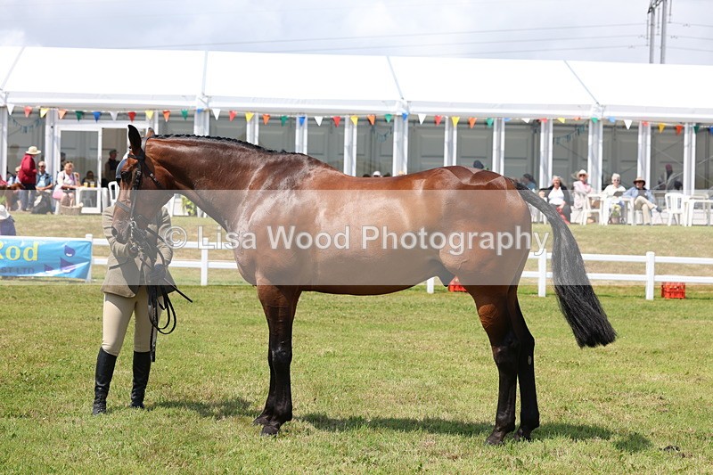 3E7A1686 - Class 9: Open Hunter