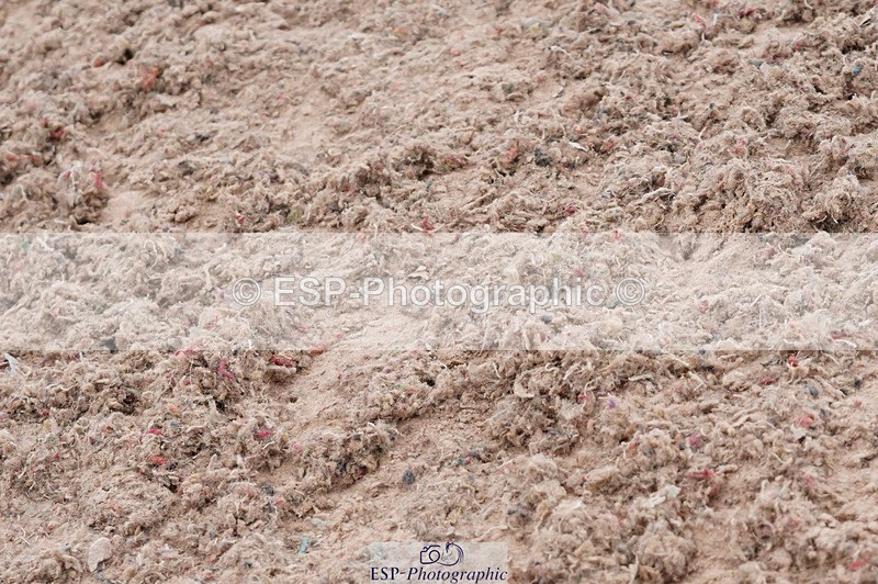 250523-174400-03060 - Jolly Jumps Ride & Run