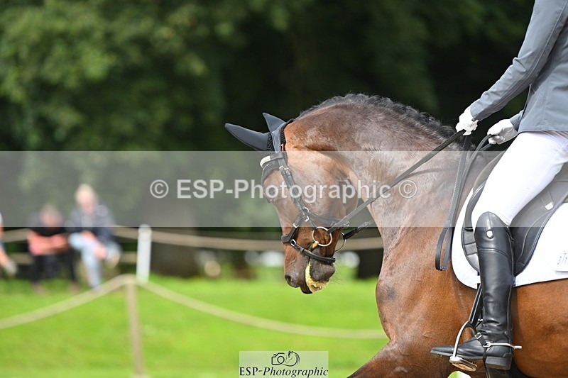 230813-111615-06554 - Cls 12 Elem Silver 10.35 to End