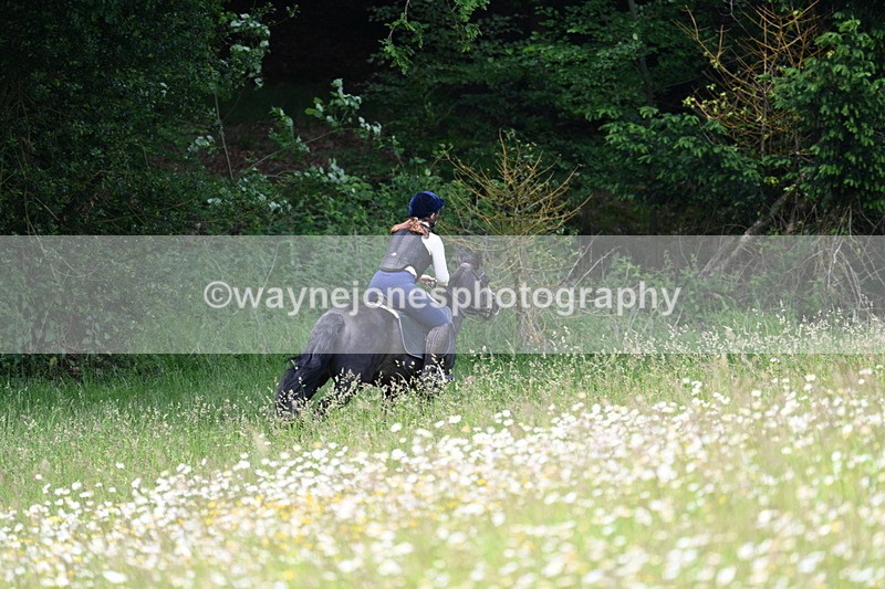 WJ7_8574 - Group 1 10am