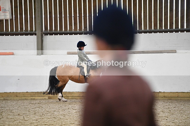 WJ5_6717 - Class 10 Childs Pony