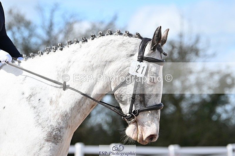 240324A-124632-02377 - Novice 28, 12.15 to 13.00