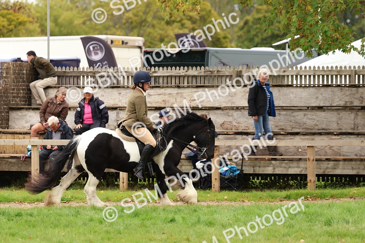 SBM_64618 - S58 - Coloured Pony Ridden