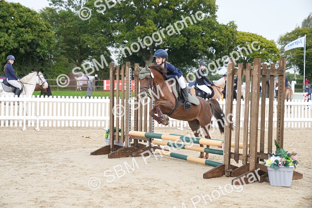 SBM_01756 - J54 - Clear Round 50cm