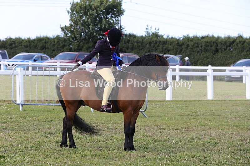 1X9A5486 - M&M Mini Ridden Championship