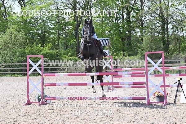 BPP_5558 - CLASS 6 Newcomers/ 1.10m Open