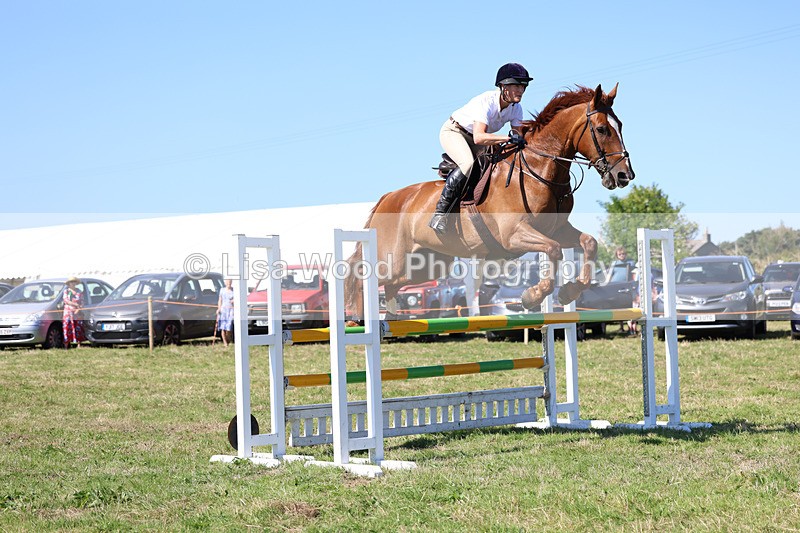 3E7A6431 - Class 13: Senior Newcomers/1.10m open