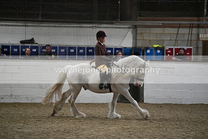 WJ7_4211 - Class 17 Ridden Cob