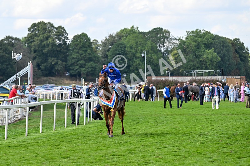 220826-Race 3-Notable Speech-0012 - Race 3 15.00pm Sky Bet City Of York Stakes