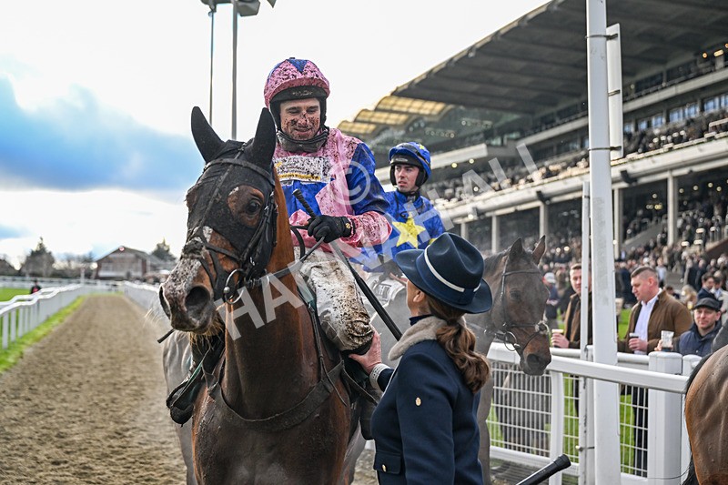 121225-Race 3-Fortune De Mer-5093 - Race 3