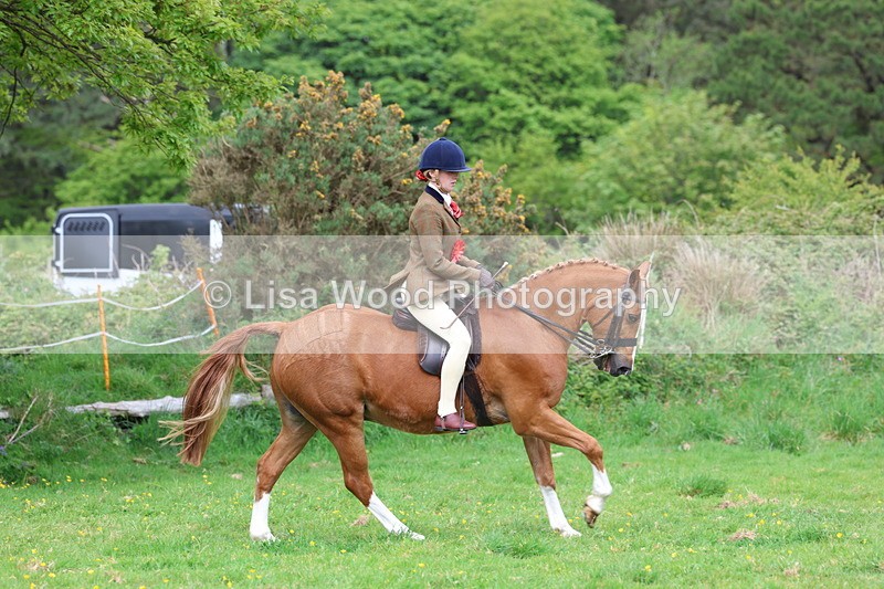 3E7A2182 - Ridden Championship