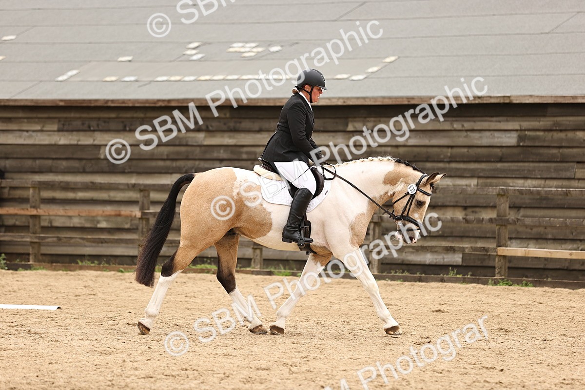 SBM_000984 - Class 7 - Novice 37