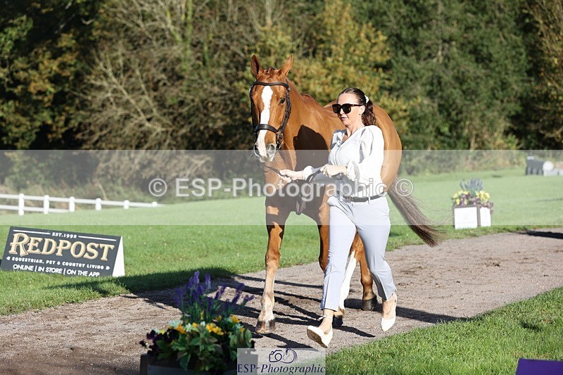 241027-092042-15219 - 405-Lucy.Strong-ON.PLANET.MARS