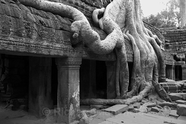  - Cambodia