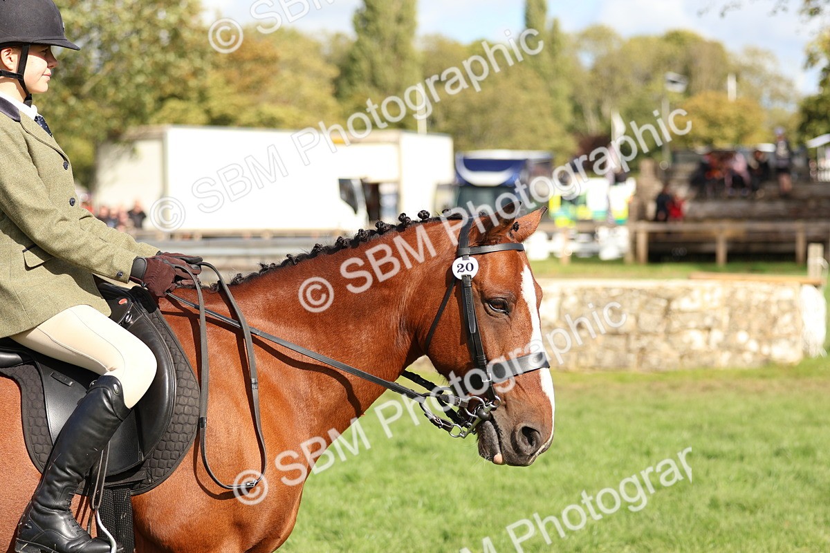 SBM_47842 - S28 - Veteran Ridden