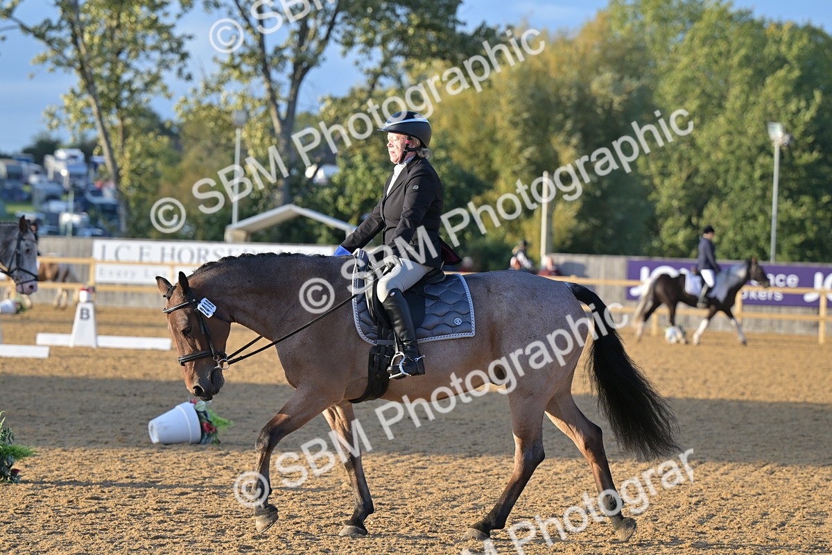 SBM_13304 - D3 - Small Tour Championship Intro 3