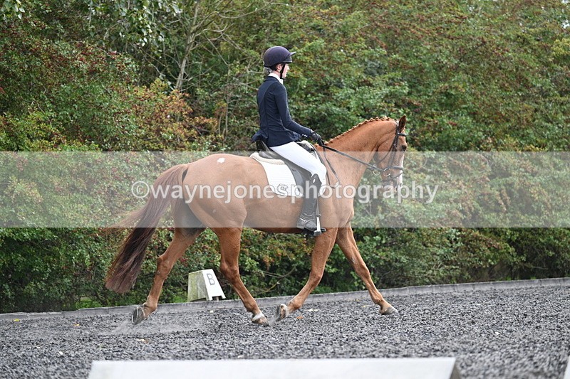 WJ7_6763 - Time 14:49 to 15:14