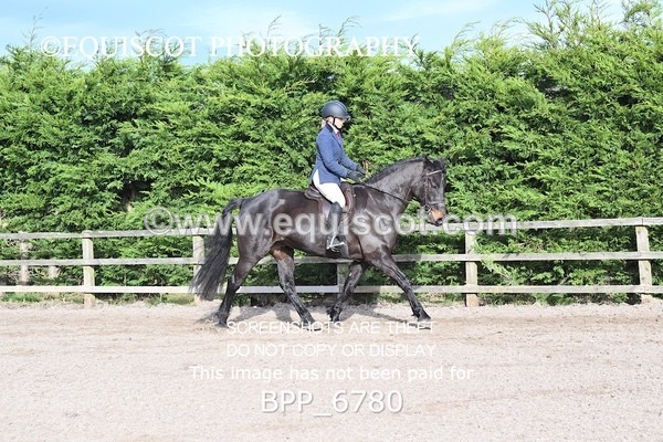 BPP_6780 - RING 1  (RIDDEN HORSES / IN HAND / VETERAN ETC)