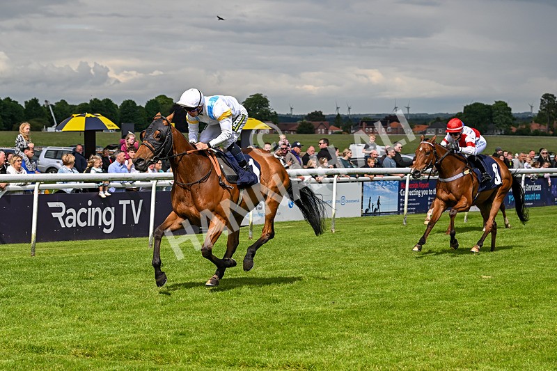 290524-Race 5-Distinction-6461 - Race 5