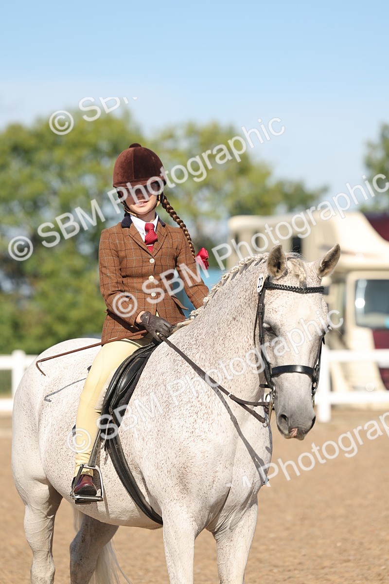 SBM_12350 - Class 304 - Ridden part Bred Horse Pony