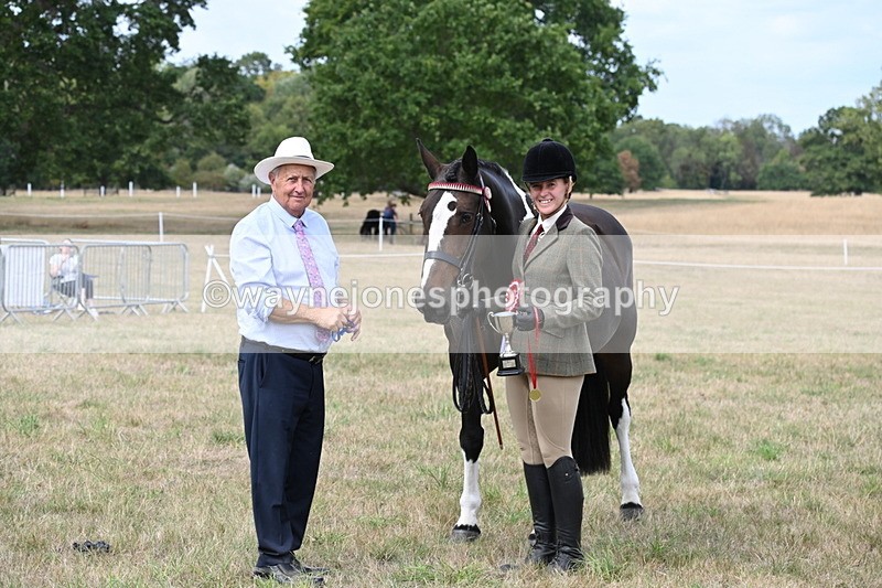 WJ6_6347 - Class 19 In-hand Veterans (Uploaded correct folder)