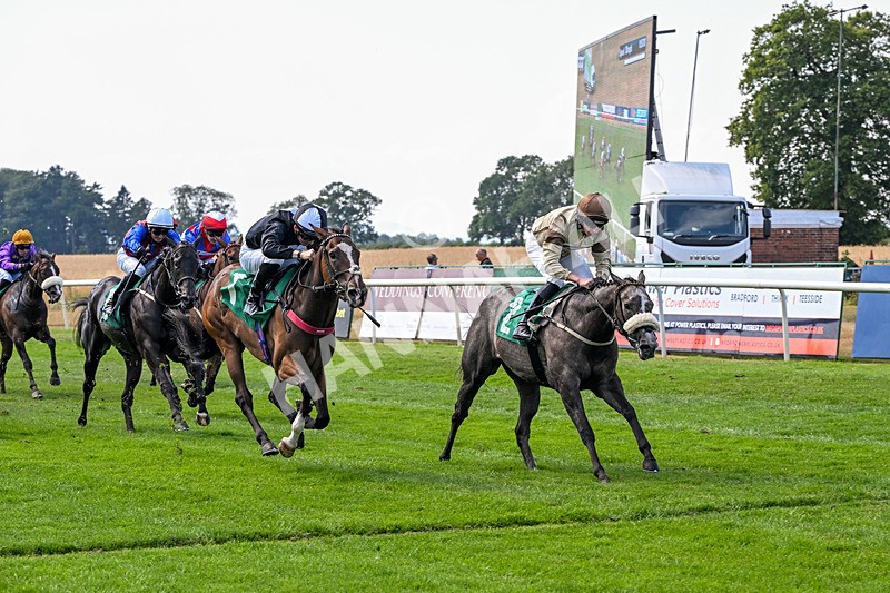 160726-Race 3-Angel Numbers-4456 - Race 3 15.03pm Sell Your Business With Anderson Barrowcliff Handicap