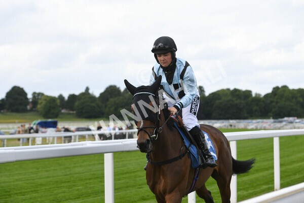 yr11062022r2-18 - Race 2 2.00pm Queen Mother's Cup