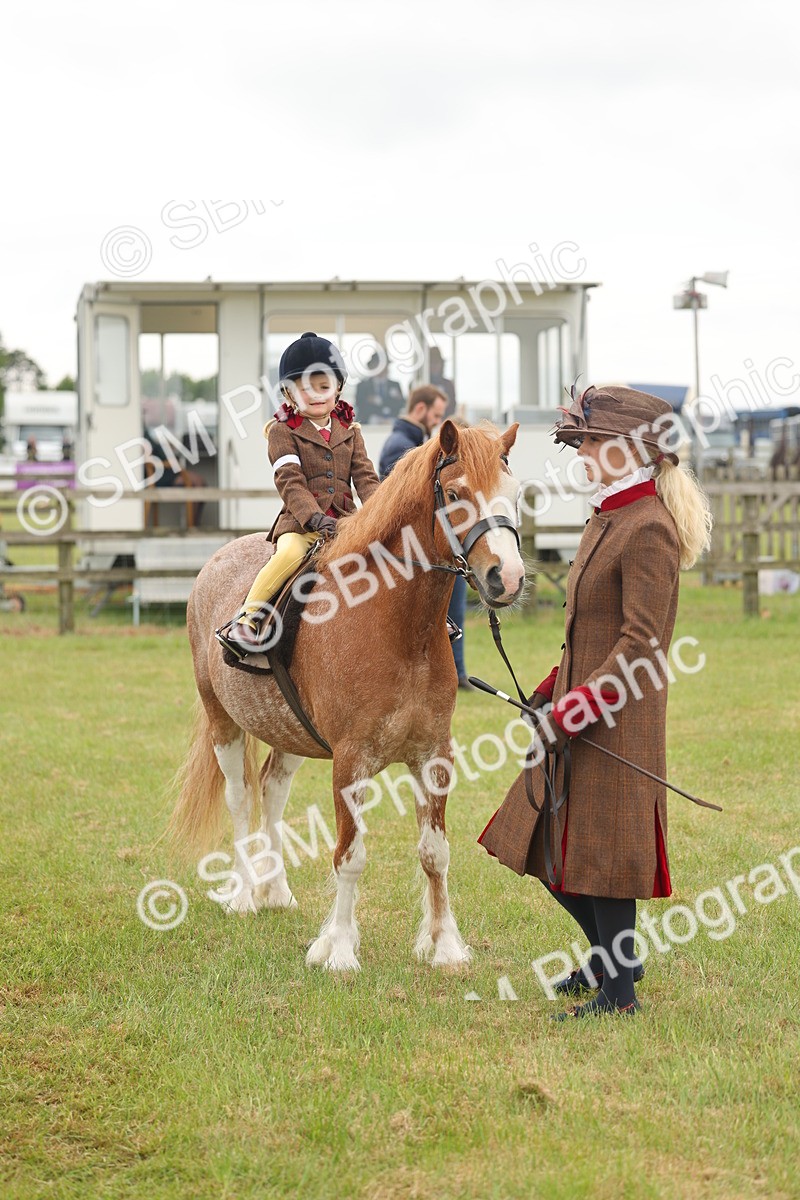 SBM_06791 - Class 74-75 - M&M Lead Rein and First Ridden Pony