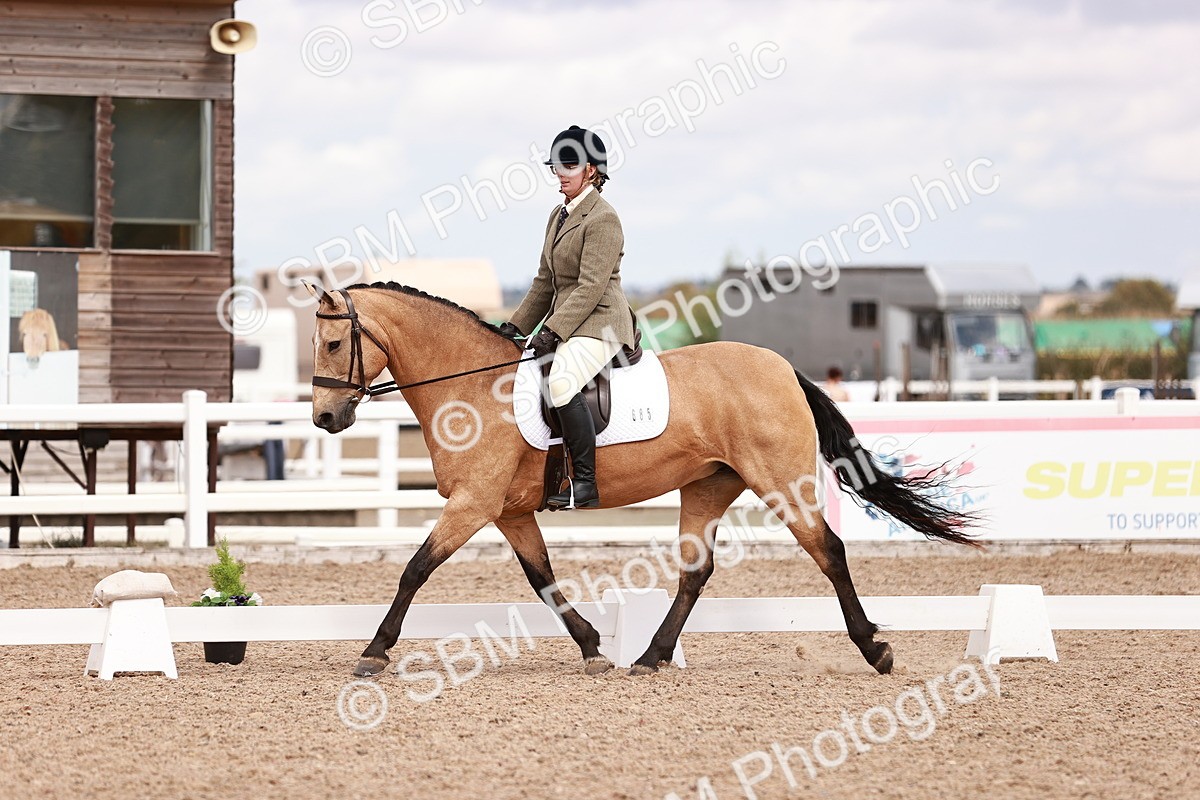 SBM_06325 - Class 37 - Novice 5