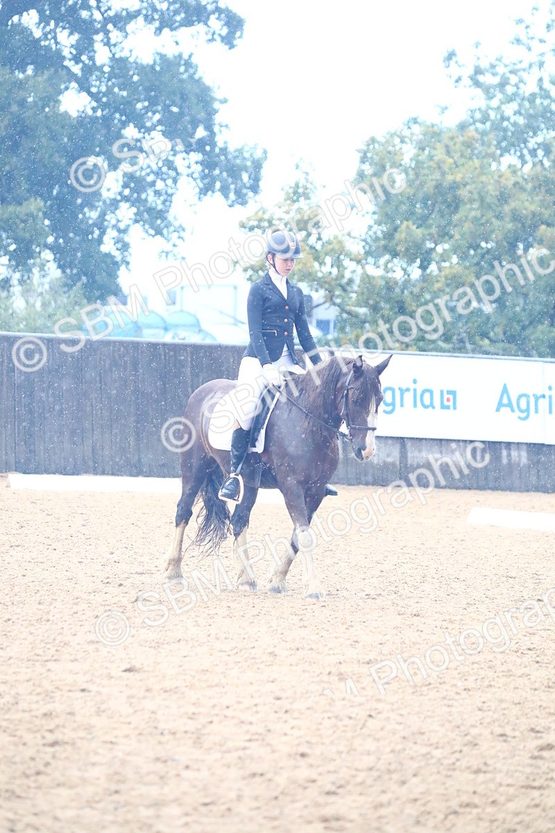 SBM_38852 - D21 - Junior Championship Intro 1