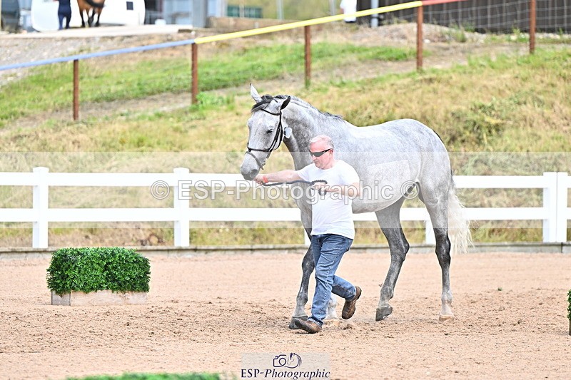 240718A-105323-01929 - Trot Up 2pm to 3pm - This folder is not in time order