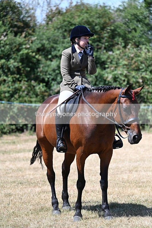 WJ7_3150 - Class 7 Riding Club Show Horse