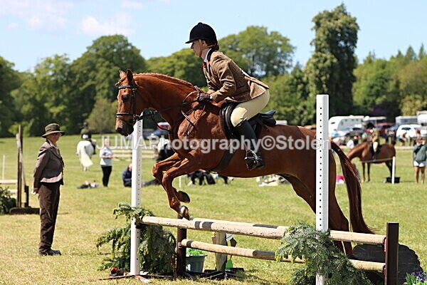 IMG_3786 - Working Hunter