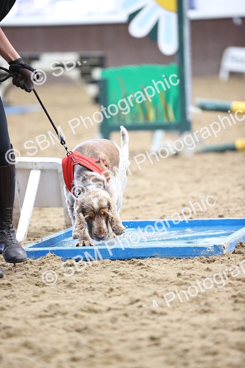 SBM_001350 - Class 3 - Horse & Hound 60cm