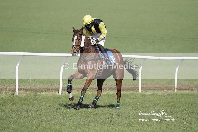 PtP 100423 733 - Old Berkshire Point-to-Point Lockinge 10/04/23