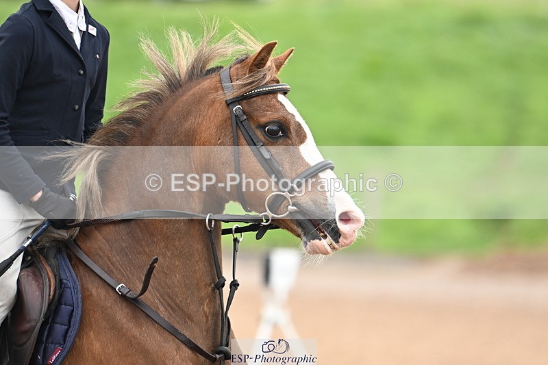 240630A-105638-11882 - Cls 24 HOYS 128cm Qualifier