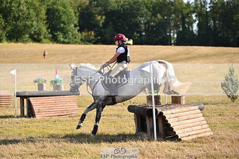 250803A-181106-18255 - R-824-Poppy.Wilkinson-DAISY.DER.BLUME