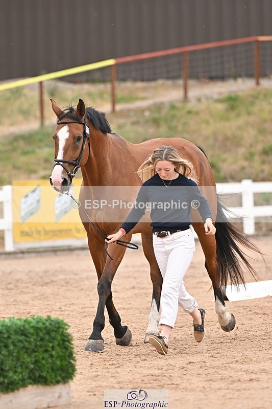 250716-160806-02435 - Trot Up 3.30 to 4.30